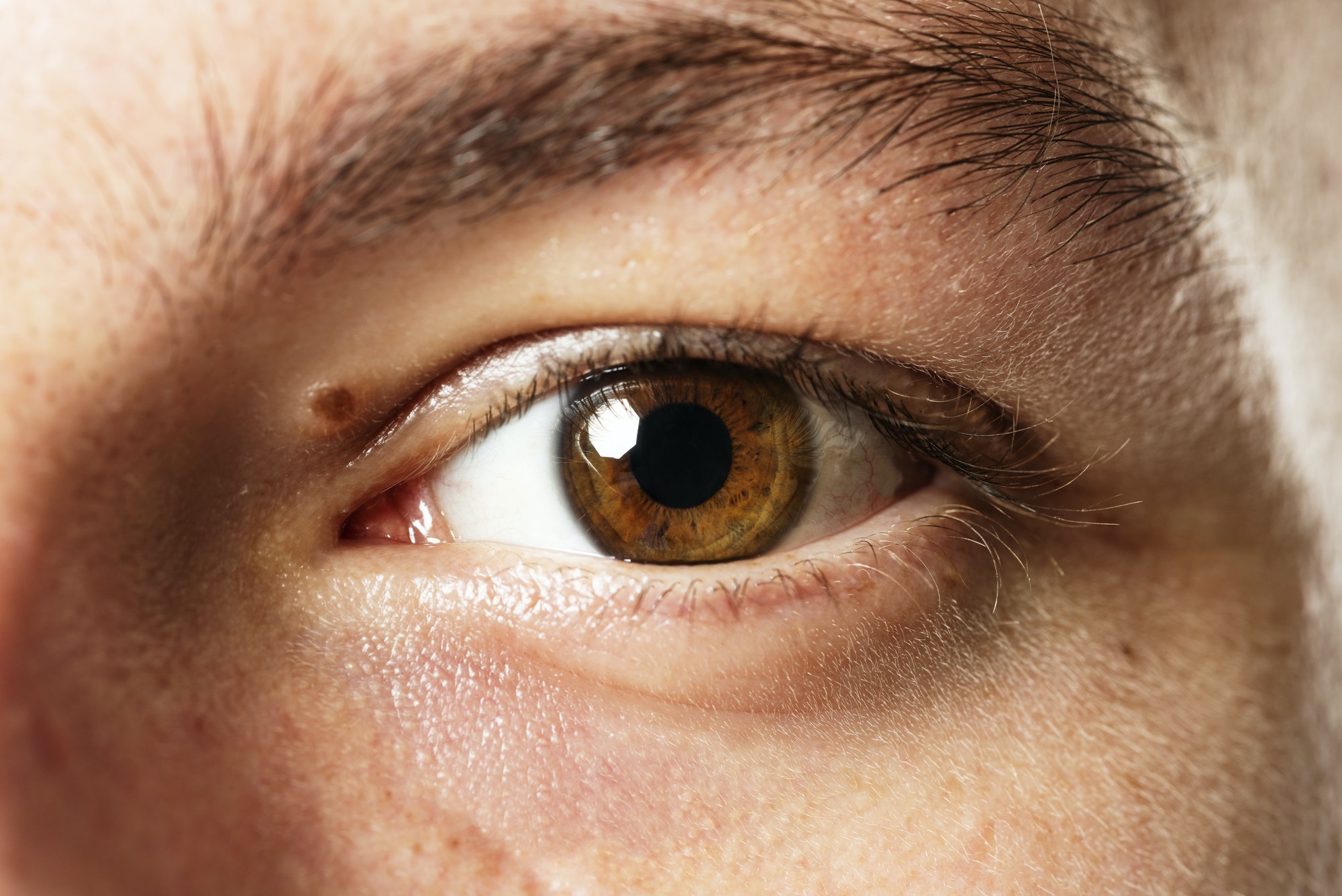 Man with beautiful brown eye color